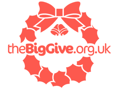 The Big Give Christmas Challenge 2