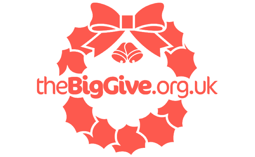 The Big Give Christmas Challenge 2